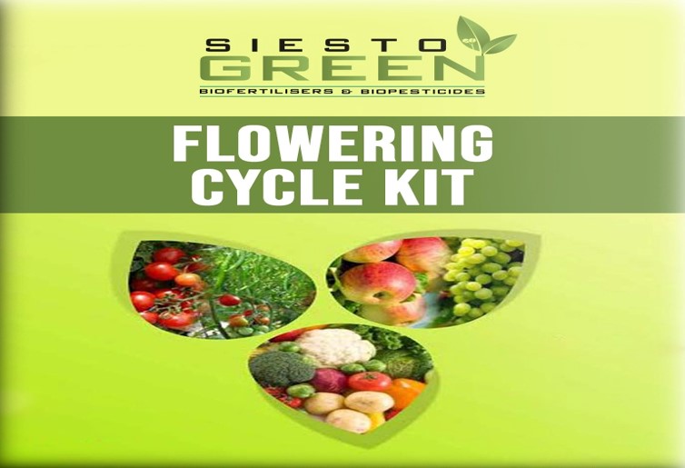 Flowering Cycle Kit